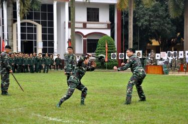 Cán bộ, chiến sĩ lực lượng vũ trang tỉnh biểu diễn võ thuật tại Lễ ra quân huấn luyện năm 2019.