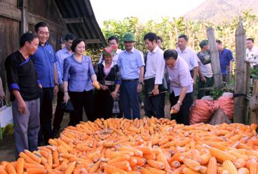 Đồng chí Bí thư Tỉnh ủy, Chủ tịch HĐND tỉnh Phạm Thị Thanh Trà (thứ ba từ trái sang) cùng các đồng chí lãnh đạo tỉnh, lãnh đạo huyện Mù Cang Chải chia sẻ niềm vui được mùa với đồng bào vùng cao Mù Cang Chải.