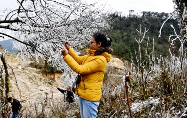 Đầu tháng 12/2019, vùng cao Yên Bái ảnh hưởng đợt rét đã xảy ra hiện tượng băng tuyết.