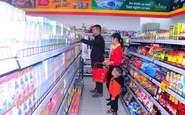 Người dân đến cửa hàng tự chọn VinMart sắm tết.