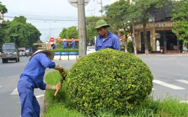 Chỉnh trang cây xanh trên tuyến đường Nguyễn Thái Học, thành phố Yên Bái.