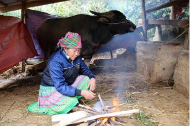 Người dân xã Bản Công nhóm lửa sưởi ấm cho gia súc ngày giá rét.