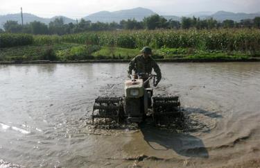 Nông dân thị xã Nghĩa Lộ làm đất gieo cấy lúa xuân.