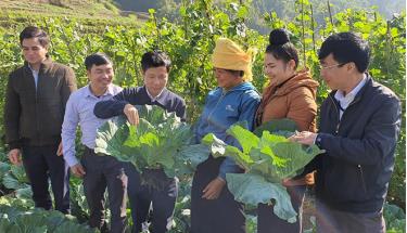 Lãnh đạo huyện Trạm Tấu kiểm tra sản xuất vụ đông ở xã Hát Lừu.