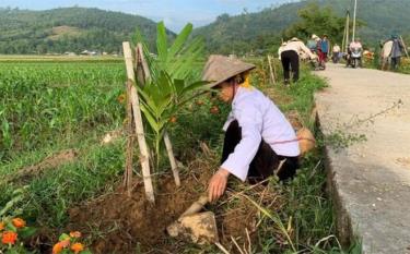 Hội viên Hội Nông dân thị xã Nghĩa Lộ trồng cây xanh tạo cảnh quan tuyến đường nông thôn xanh - sạch - đẹp.