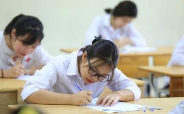 Riêng đội tuyển mỗi môn thi của đơn vị dự thi Hà Nội có tối đa 12 thí sinh.