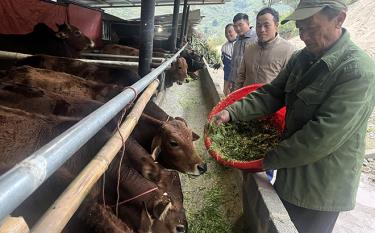 Ban chỉ huy PCTT-TKCN tỉnh đề nghị các thành viên Ban chỉ huy PCTT-TKCN tỉnh và UBND các huyện, thị xã, thành phố thường xuyên cập nhật diễn biến tình hình thiên tai trong thời gian tới bảo vệ sức khỏe người và đàn gia súc... (Ảnh: Thanh Chi)