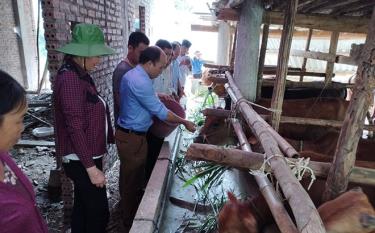 Các đại biểu và người dân tham quan mô hình vỗ béo bò thịt ở xã Khao Mang, huyện Mù Cang Chải.