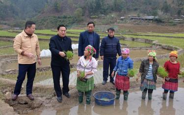 Đồng chí Giàng A Thào - Bí thư Huyện ủy Trạm Tấu kiểm tra sản xuất vụ xuân năm 2023 tại xã Xà Hồ.