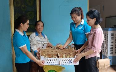 Cán bộ Hội LHPN xã Văn Phú (thành phố Yên Bái) trao gà giống hỗ trợ sinh kế cho hộ hội viên yếu thế.