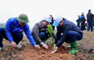 Hưởng ứng Tết trồng cây tại huyện Văn Chấn, tỉnh Yên Bái.