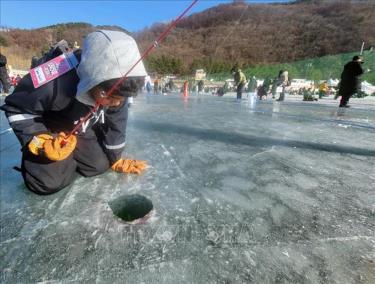 Em nhỏ tham gia Lễ hội câu cá trên băng Hwacheon Sancheoneo, tỉnh Gangwon, Hàn Quốc, ngày 6/1/2024.