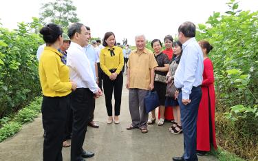 Lãnh đạo huyện Trấn Yên giới thiệu với đoàn công tác của trung ương về vùng sản xuất chuyên canh dâu tằm tập trung tại xã Việt Thành.