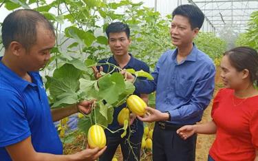 Đồng chí Nguyễn Thế Phước - Ủy viên Ban Thường vụ Tỉnh ủy, Phó Chủ tịch Thường trực UBND tỉnh thăm mô hình sản xuất trong nhà lưới tại xã Thành Thịnh, huyện Trấn Yên.