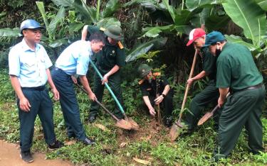 Chi hội Cựu chiến binh tổ 2, phường Minh Tân, thành phố Yên Bái trồng cây lát, góp phần hoàn thành chỉ tiêu trồng cây xanh đô thị trên địa bàn phường.