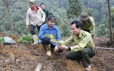 Cán bộ Hạt Kiểm lâm huyện Văn Yên hướng dẫn người dân xã Lang Thíp trồng rừng sản xuất vụ xuân.