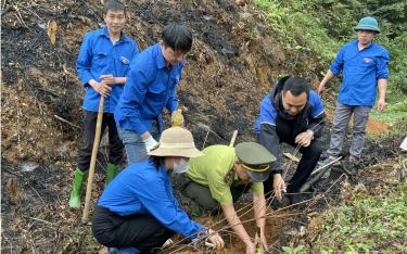 Năm 2025, tỉnh Yên Bái phấn đấu trồng 15.500 ha rừng các loại, trong đó phấn đấu trồng trên 12.000 ha rừng trong vụ xuân