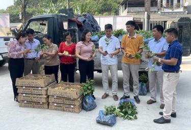 Hội nông dân tỉnh hỗ trợ nông dân xã Thịnh Hưng, huyện Yên Bình cây, con giống để phát triển sản xuất.