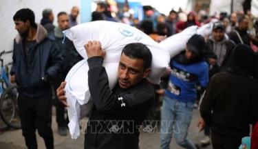 Người tị nạn Palestine nhận hàng cứu trợ từ UNRWA ở thành phố Rafah, Dải Gaza ngày 28/1/2024.