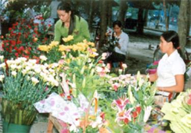 Hoa ngày tết.