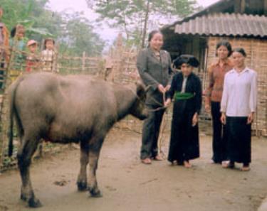 Hội phụ nữ thị xã Nghĩa Lộ trao nghé cho gia đình bà Lò Thị Lối xã Nghĩa Phúc có 3 thế hệ phụ nữ độc thân - tật nguyền.
(Ảnh: 
Nguyễn Đức Phương
