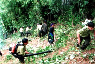 Cán  bộ kiểm lâm tích cực tham gia công tác tuyên truyền và phát dọn đường băng cản lửa với nhân dân.