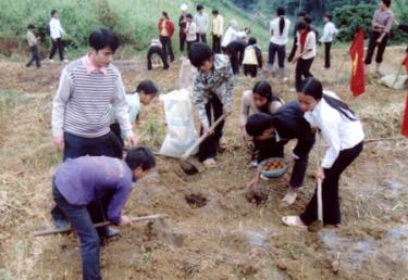 Hướng dẫn học sinh trồng cây khoai tây trên ruộng.
(Ảnh: Nguyễn Xuân Tình)