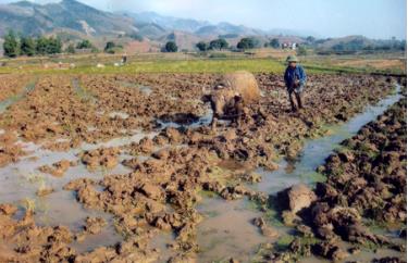 Nông dân xã Châu Quế Hạ (Văn Yên) tích cực làm đất gieo cấy kịp thời vụ.
(Ảnh: Sùng Đức Hồng)