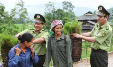 Cán bộ kiểm lâm huyện Văn Chấn giao cây giống cho người dân xã Gia Hội trồng rừng dịp xuân Quý Tỵ.