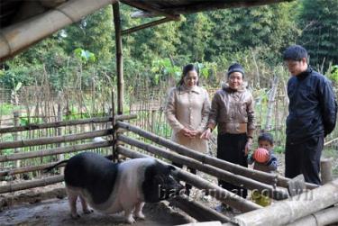 Gia đình bà Lò Thị Nghen (thứ 2, trái sang) ở Bản Hốc, xã Cát Thịnh đã thoát nghèo nhờ được hưởng các chính sách hỗ trợ của Nhà nước, địa phương và giúp đỡ của cộng đồng.
