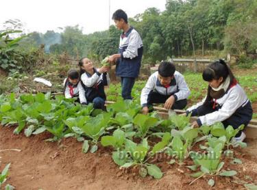 Học sinh Trường Trung học cơ sở Dân tộc nội trú huyện Yên Bình chăm sóc vườn rau xanh được xây dựng qua phong trào “Vườn rau của em”.