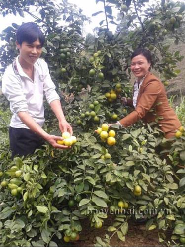 Chủ tịch Hội Nông dân xã Tân Hương, huyện Yên Bình Nguyễn Thị Minh Toàn thăm hỏi động viên hội viên phát triển kinh tế.
