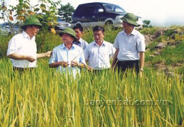 Đồng chí Hoàng Xuân Nguyên (người ngoài cùng, bên trái) - Phó chủ tịch UBND tỉnh kiểm tra tình hình sản xuất nông nghiệp tại xã Phù Nham, huyện Văn Chấn.
(Ảnh: Ngọc Đồng)
