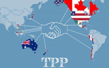 Các nước tham gia TPP: Australia, Brunei, Canada, Chile, Nhật Bản, Malaysia, Mexico, New Zealand, Peru, Singapore, Hoa Kỳ và Việt Nam.
