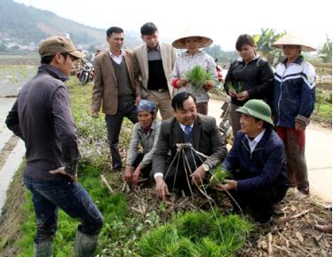 Phó chủ tịch UBND tỉnh Hoàng Xuân Nguyên (người đội mũ) trao đổi với bà con về chất lượng mạ cấy vụ đông xuân.