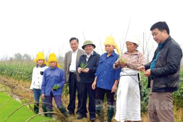 Lãnh đạo huyện Văn Chấn động viên nhân dân sản xuất đầu năm.