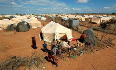 Trại tị nạn Dadaab.
