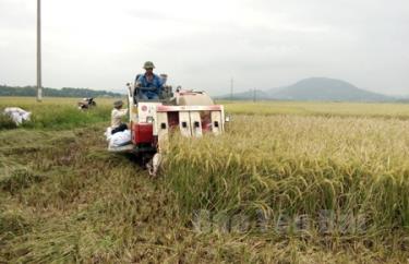 Đưa cơ giới hóa vào sản xuất tạo khối lượng hàng hóa lớn, đáp ứng nhu cầu thị trường.