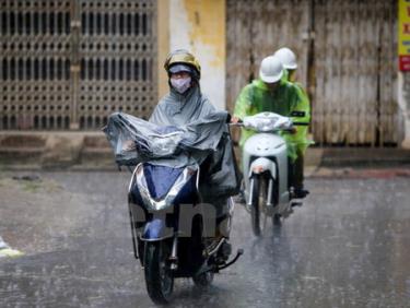 Ảnh chỉ có tính minh họa.