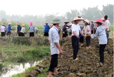 Từ dân vận khéo, người dân tích cực góp công làm đường giao thông nội đồng ở phường Tân An, thị xã Nghĩa Lộ.