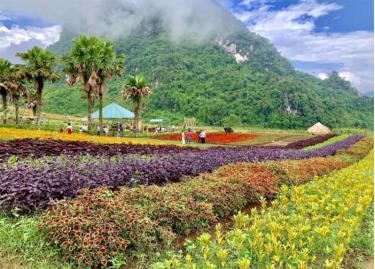 Một góc bình nguyên xanh Khai Trung.