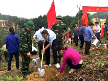 Ước tính, trong ngày đầu ra quân toàn huyện trồng được gần 55 ha rừng.
