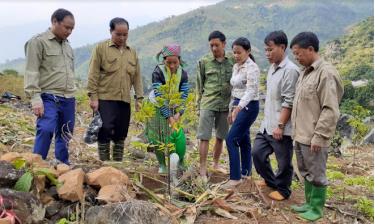 Cán bộ Phòng Dân tộc huyện Văn Chấn kiểm tra và hướng dẫn người dân thôn Ba Cầu, xã Suối Bu chăm sóc cây na.