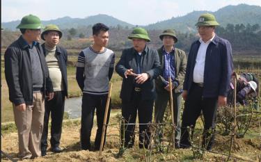 Đồng chí Dương Văn Thống - Phó Bí thư Thường trực Tỉnh ủy, Trưởng đoàn đại biểu Quốc hội khóa XIV tỉnh Yên Bái cùng lãnh đạo huyện Mù Cang Chải thăm mô hình trồng hoa hồng tại xã Nậm Khắt.