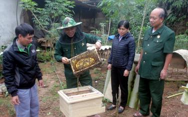 Một mô hình nuôi ong cho thu nhập cao ở xã Hán Đà.