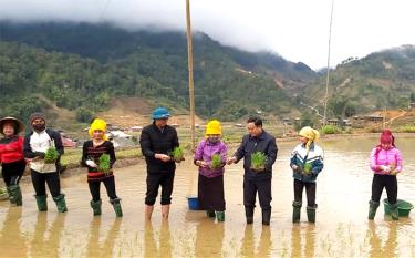 Lãnh đạo huyện Trạm Tấu xuống đồng kiểm tra sản xuất vụ xuân.
Ảnh: T.LLãnh đạo huyện Trạm Tấu xuống đồng kiểm tra sản xuất vụ xuân.
(Ảnh: T.L)