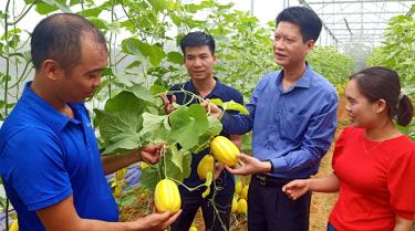 Mục tiêu nông nghiệp phát triển, nông dân giàu có, nông thôn văn minh
đang ngày càng hiện thực hóa trên mảnh đất Yên Bái. (Mô hình trồng dưa lê Hàn Quốc trong nhà lưới tại xã Đào Thịnh, huyện Trấn Yên mang lại nguồn thu nhập đáng kể cho người dân).