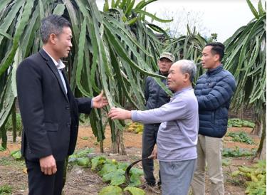 Cán bộ thôn Đức Quân trao đổi với nhân dân về phát triển cây ăn quả hàng hóa.
