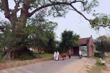 The gate of Duong Lam village.