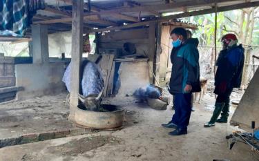 Mu Cang Chai residents make fire to keep cattle warm